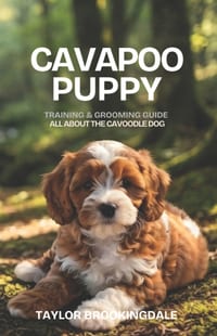 Cavapoo (Cavoodle) Puppy Training & Grooming Guide: Gentle & Force-Free Positive Reinforcement Methods for House & Potty Training, Separation Anxiety, cover