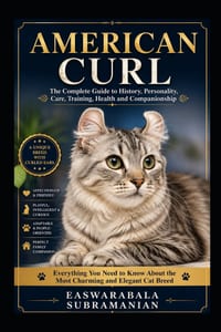American Curl cover