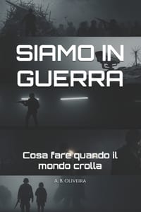 Siamo in Guerra: Cosa fare quando il mondo crolla cover