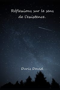 Réflexions sur le sens de l'existence ! cover