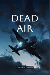 Dead Air: 100 True Stories of Silent Flights and Missing Crews cover