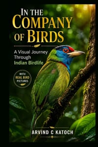 In the Company of Birds: A Visual Journey Through Indian Birdlife cover