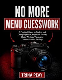 No More Menu Guesswork: A Practical Guide to Finding and Changing Focus, Exposure, Shutter, Flash, Wireless, Video, and Custom-Control Settings cover