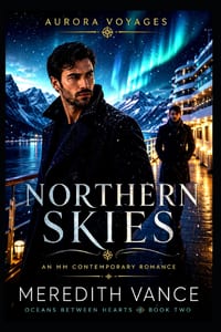 Northern Skies: Where Secrets Melt Beneath the Northern Lights. A Contemporary MM Romance Novel. cover