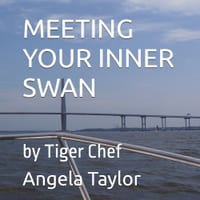 Meeting Your Inner Swan cover