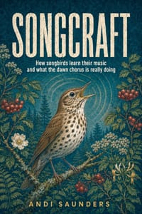 Songcraft: How songbirds learn their music and what the dawn chorus is really doing cover