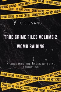 Womb Raiding cover