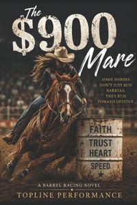 The $900 Mare cover