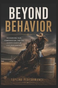 Beyond Behavior cover