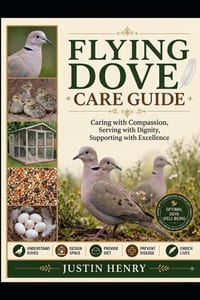 Flying Dove Care Guide: Caring with Compassion, Serving with Dignity, Supporting with Excellence cover
