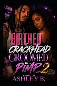 Birthed By A Crackhead Groomed By A Pimp 2 cover