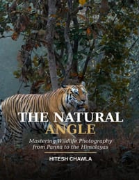 Mastering Wildlife Photography cover