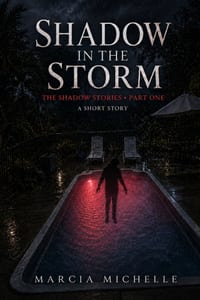 Shadow In The Storm: Shadow series cover