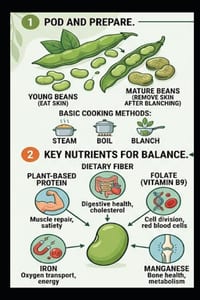 Broad beans Diet: A Step-by-Step Guide to Balanced Nutrition: Health cover