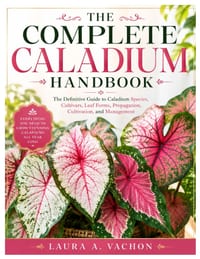 The Complete Caladium Handbook: The Definitive Guide to Caladium Species, Cultivars, Leaf Forms, Propagation, Cultivation, and Management cover