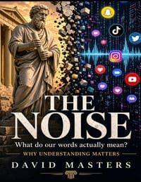 The Noise: What do our words actually mean? cover