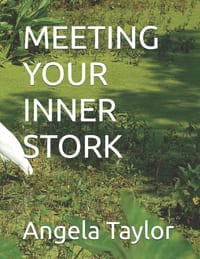Meeting Your Inner Stork cover