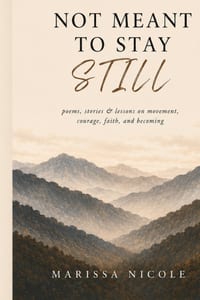 Not Meant To Stay Still: poems, stories, and lessons cover
