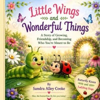 Little Wings And Wonderful Things cover