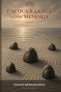 L'acqua e la sua infinita memoria: Un giallo dall'anima zen - Collana Ponte Narrativa cover