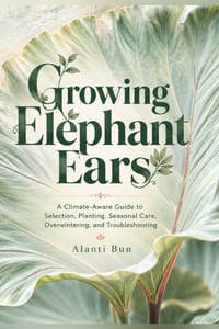 Growing Elephant Ears: A Climate-Aware Guide to Selection, Planting, Seasonal Care, Overwintering, and Troubleshooting cover