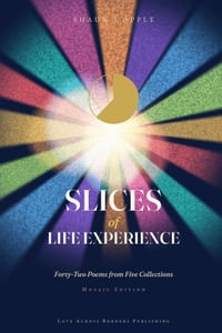 Slices of Life Experience cover
