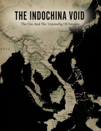 The Indochina Void: The Oss And The Unraveling Of Empire cover
