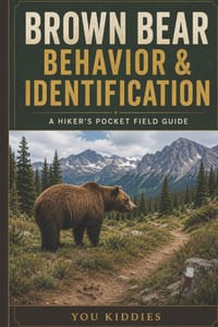 Brown Bear Behavior & Identification: A Hiker's Pocket Field Guide cover