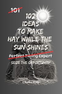 102 Ideas To Make Hay While The Sun Shines: Seize Opportunities, Take Action, Build Momentum, Make Better Decisions, and Make the Most of Life's Best cover