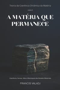 A Matéria Que Permanece: Coerência, Forma, Vida e Hierarquia dos Estados Materiais cover