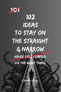 102 Ideas To Stay On The Straight And Narrow: Practical Ways To Make Better Choices, Avoid Trouble And Do The Right Thing cover
