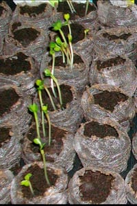The Permaculture Handbook: Simple Steps to Design Your Sustainable Garden Oasis cover