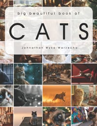 Big Beautiful Book of Cats: Cat Coffee Table Picture Book Cat Breed Photography Images Feline Home Decor Accent Piece cover