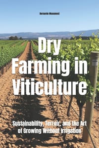 Dry Farming in Viticulture: Sustainability, Terroir, and the Art of Growing Without Irrigation cover