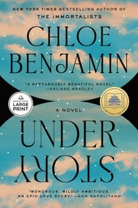 Under Story: A GMA Book Club Pick cover