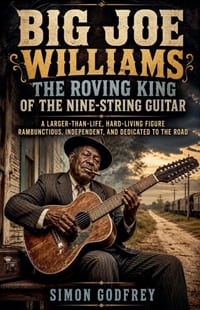 Big Joe Williams: The Roving King of the Nine-String Guitar cover