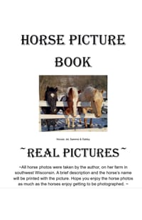 Horses Picture Book cover