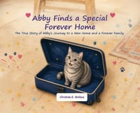Abby Finds a Special Forever Home cover