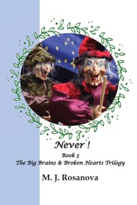 Never !: Book 3 The Big Brains & Broken Hearts Trilogy cover