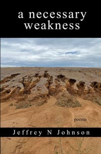 A Necessary Weakness cover