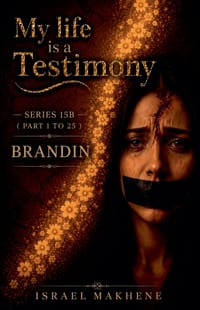 Series 15B (Part 1 to Part 25) Brandin cover