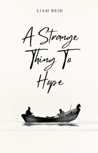A Strange Thing to Hope cover