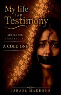 Series 12B (Part 1 to Part 18) A Cold One cover