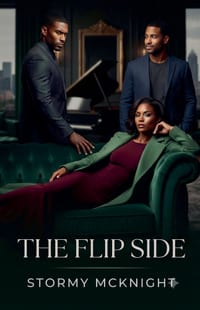 The Flip Side cover