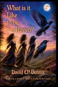 What is it LIke to Be...a Raven? cover