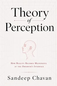 Theory of Perception cover