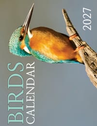Birds 2027 Calendar cover