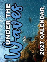 Under The Waves 2027 Calendar cover