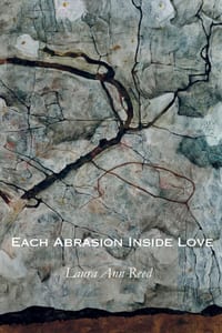 Each Abrasion Inside Love cover