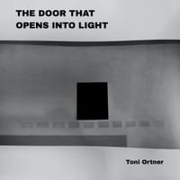 The Door That Opens Into Light cover